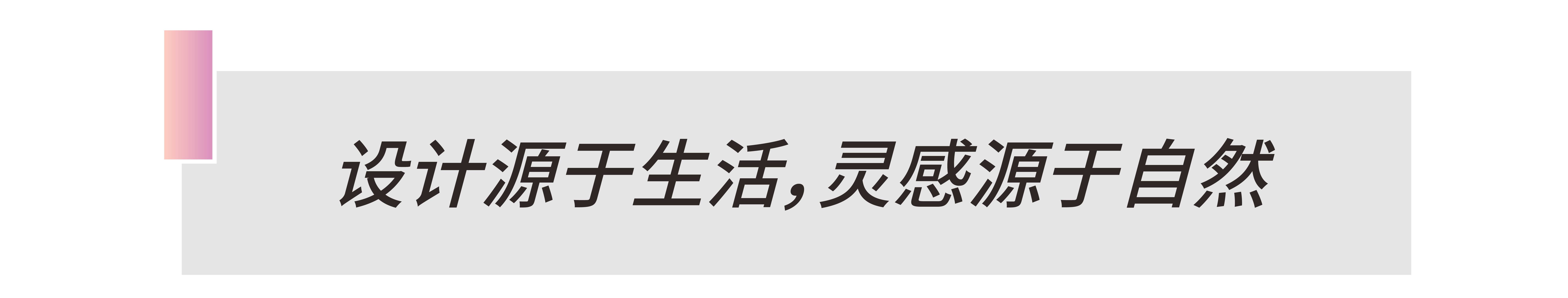 2025IHIDA重庆游学-06